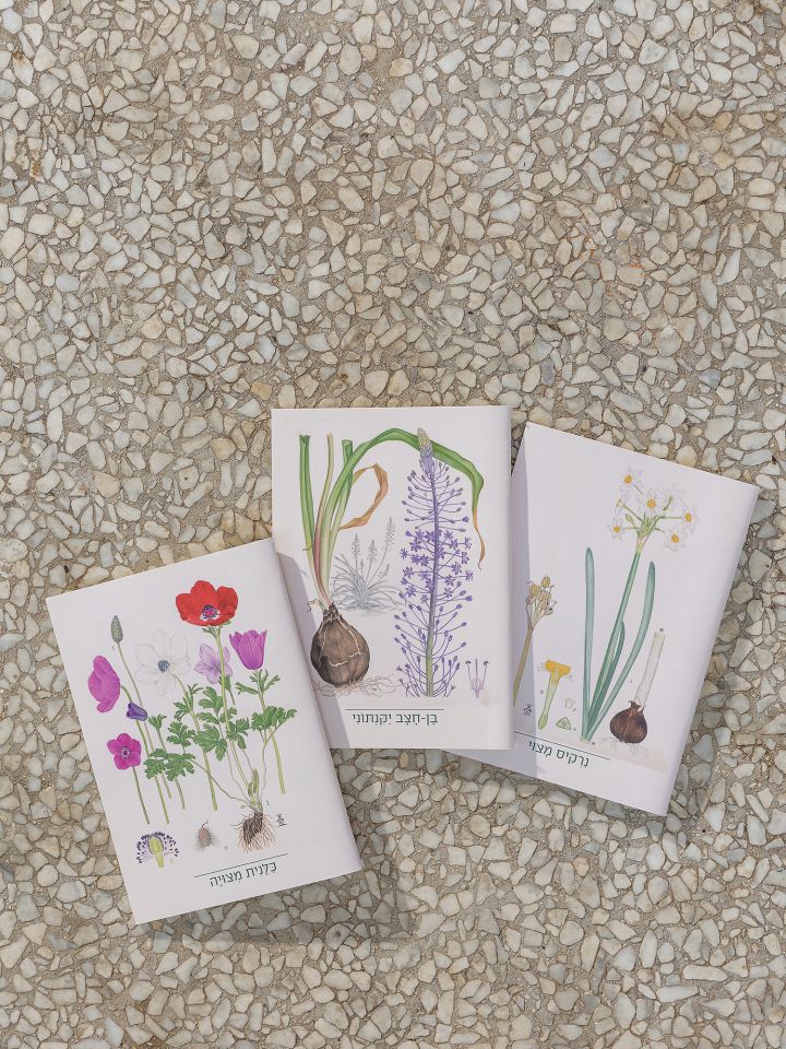סט 3 מחברות איורי פרחים