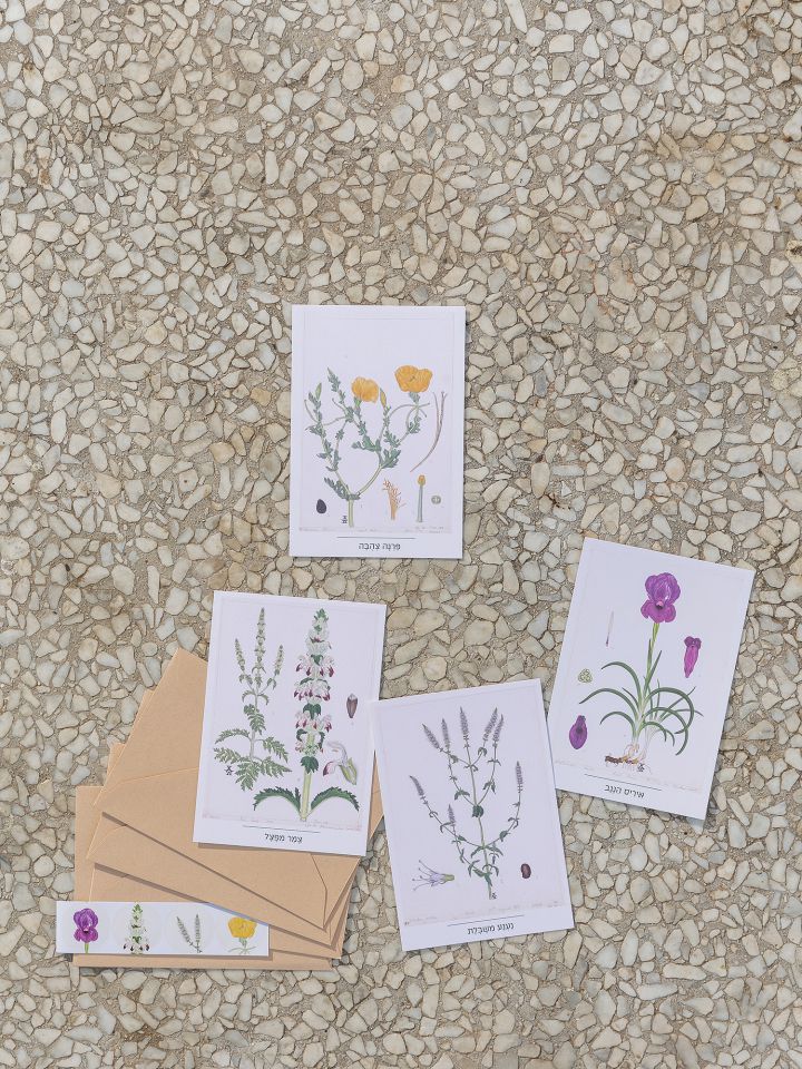 מארז 4 כרטיסי ברכה באיור פרחים