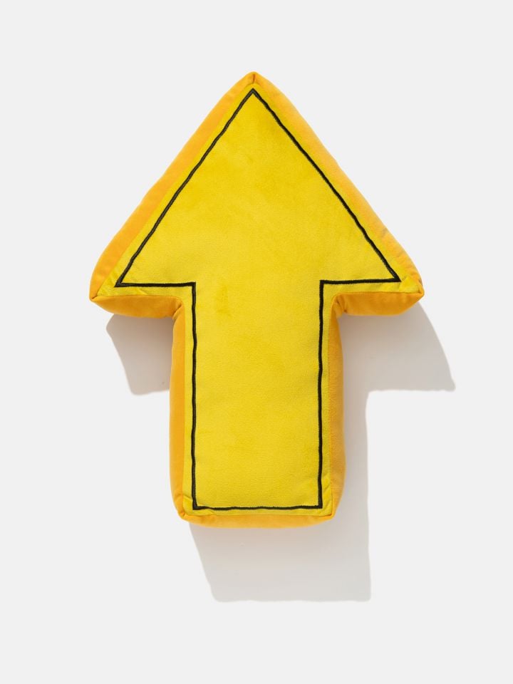 כרית נוי חץ TAKI