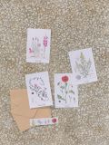 מארז 4 כרטיסי ברכה באיור פרחים