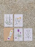 מארז 4 כרטיסי ברכה באיור פרחים