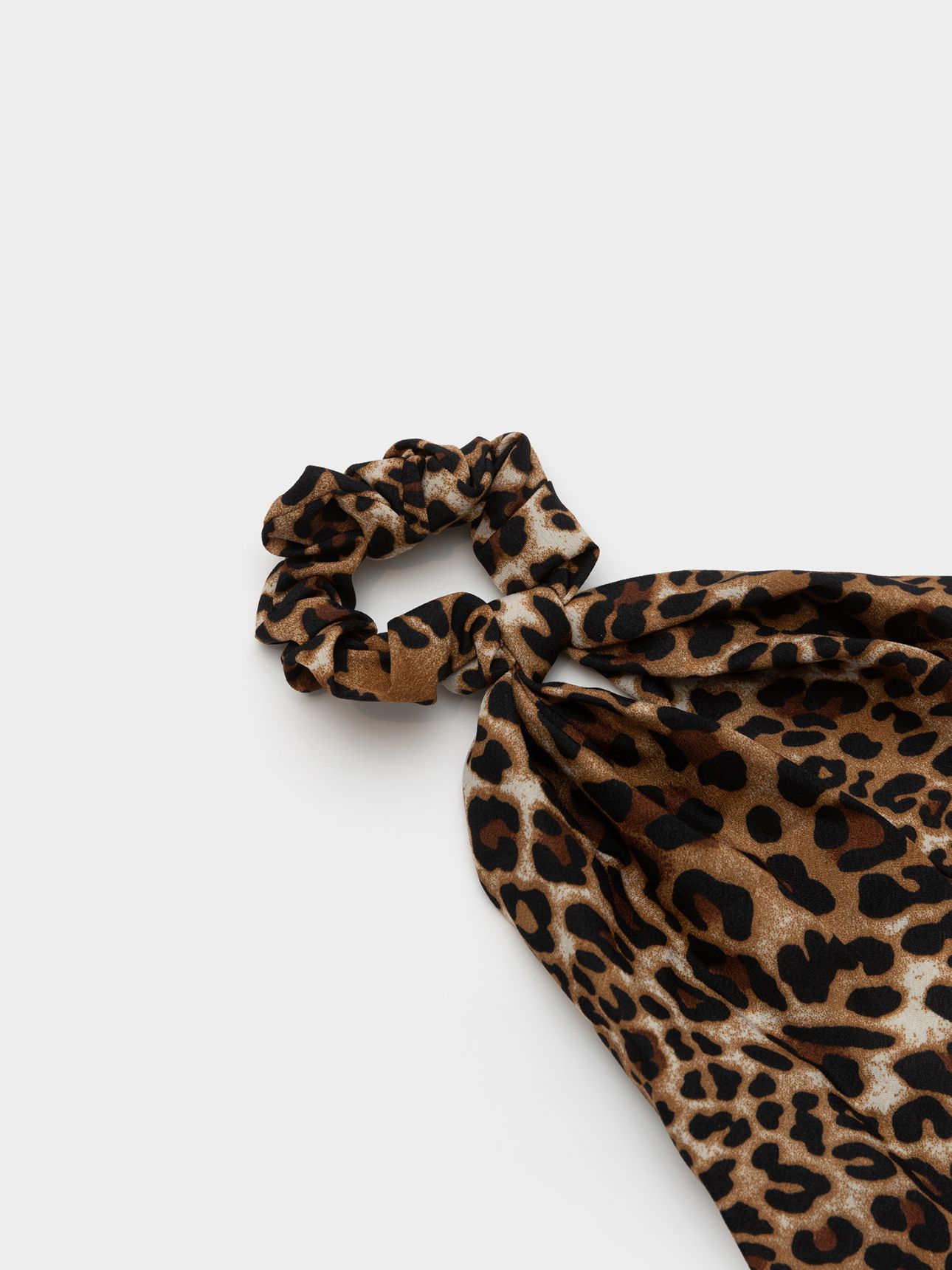 גומייה עם סרט מנומרת