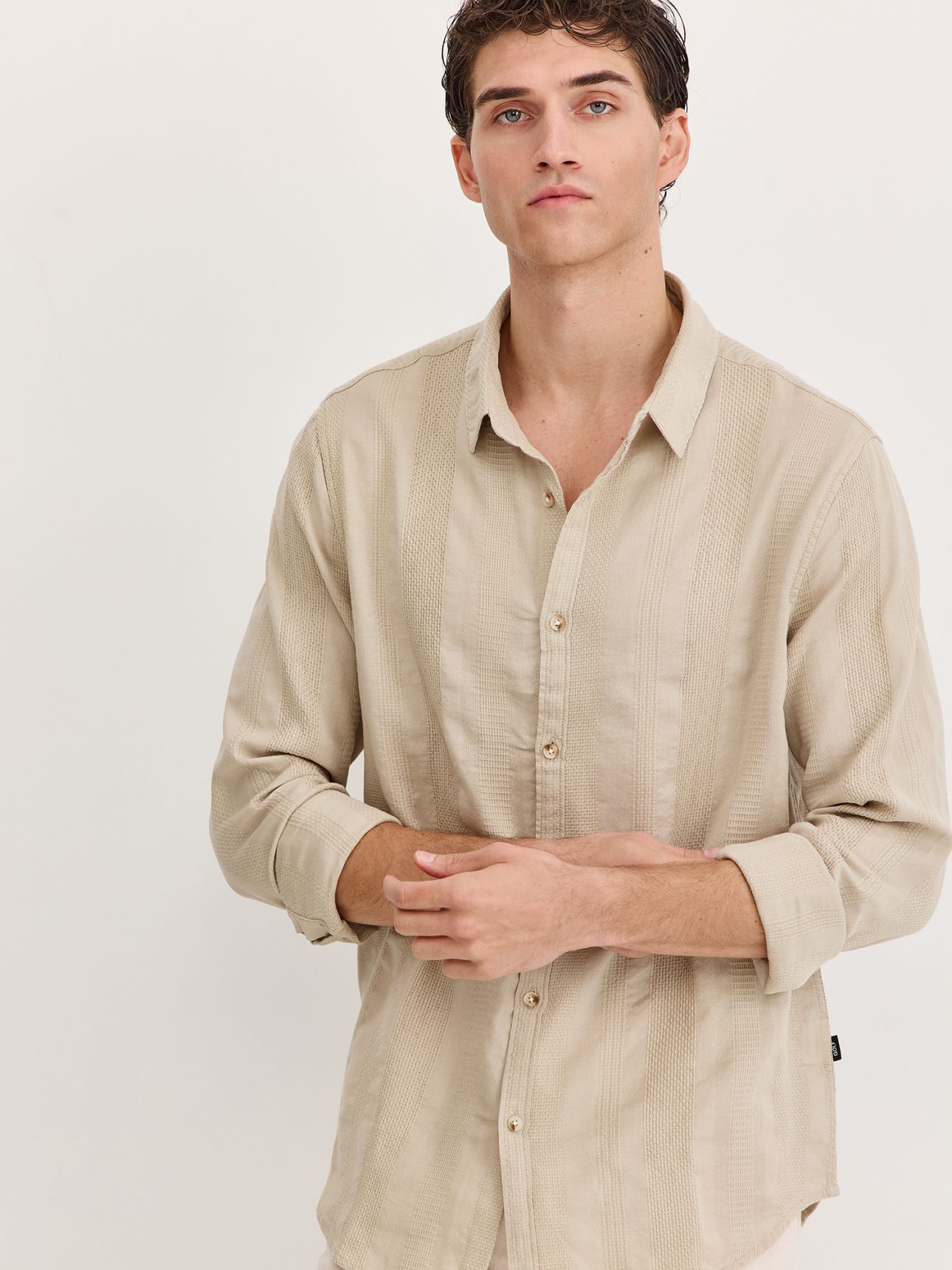 מכופתרת שרוול ארוך טקסטורה