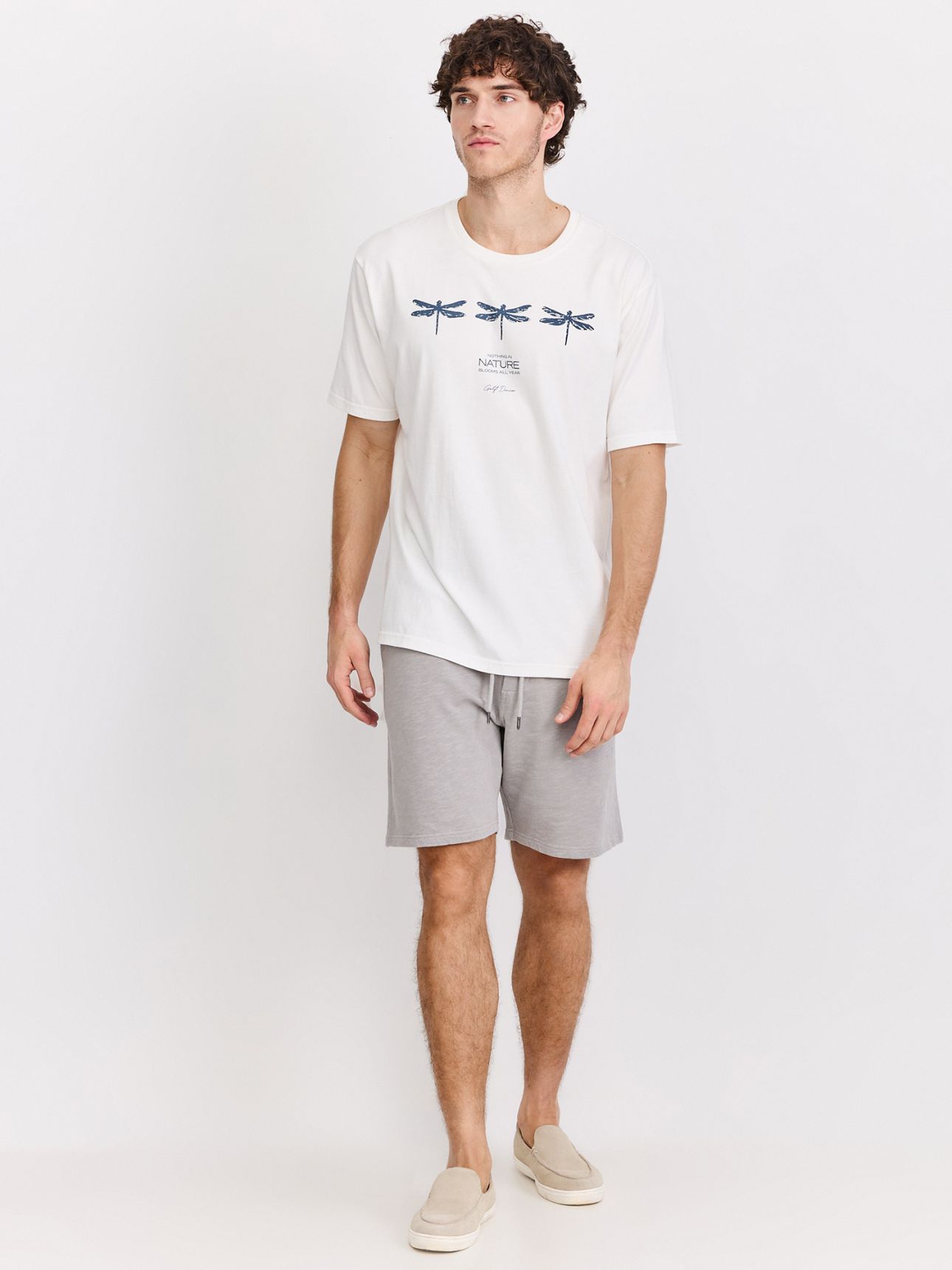 ברמודה פרנץ’ טרי