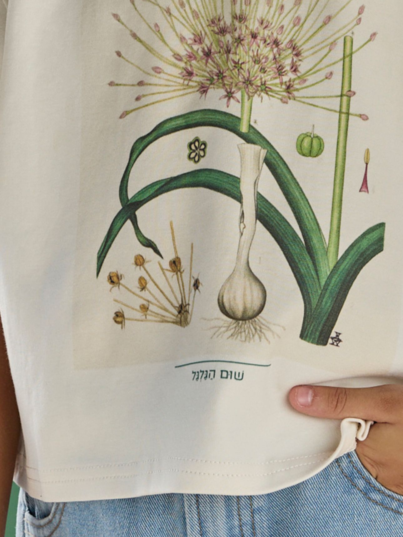 טי שירט קרופ שום הגלגל