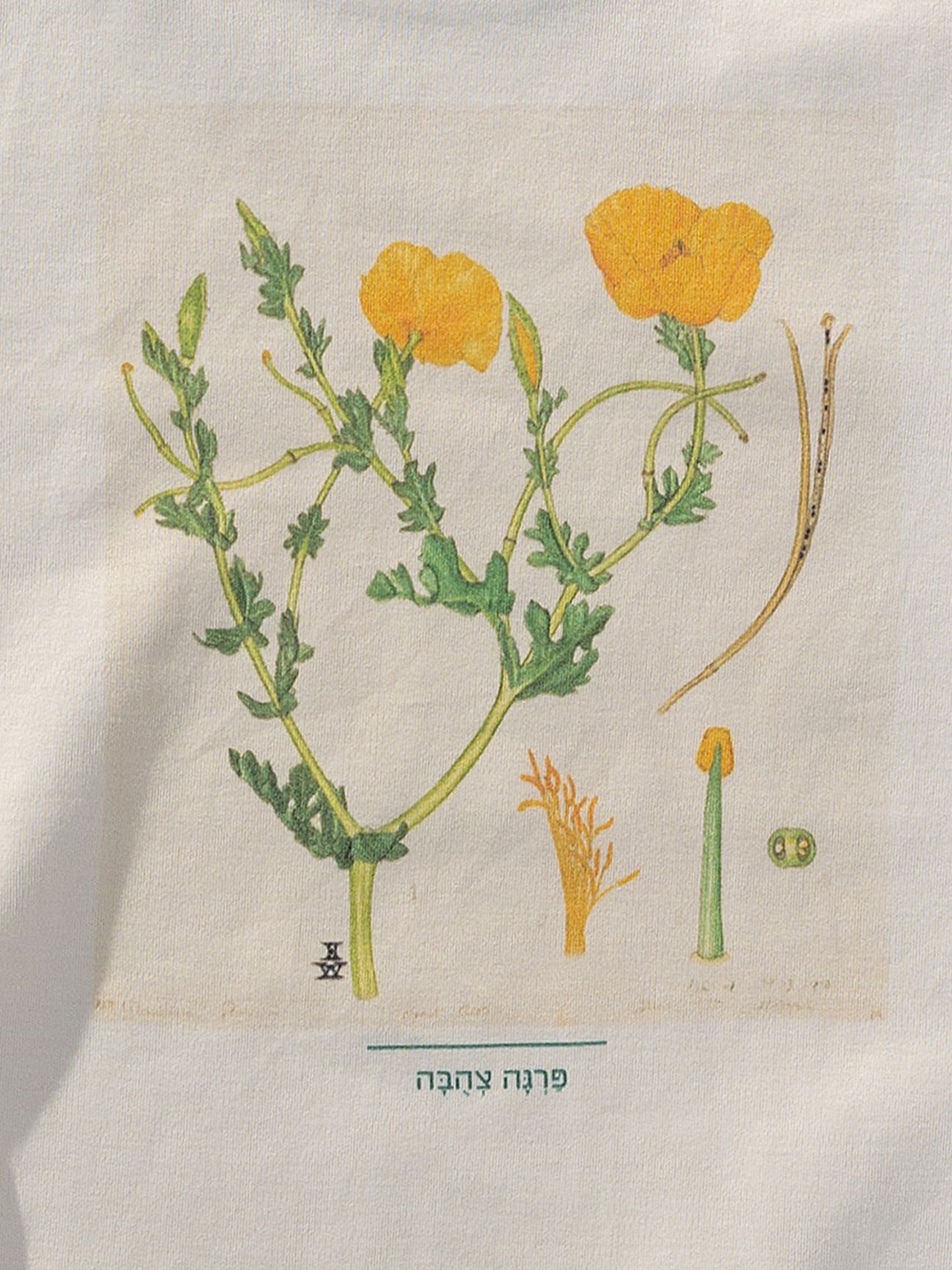 טי שירט בייבי פרגה צהובה