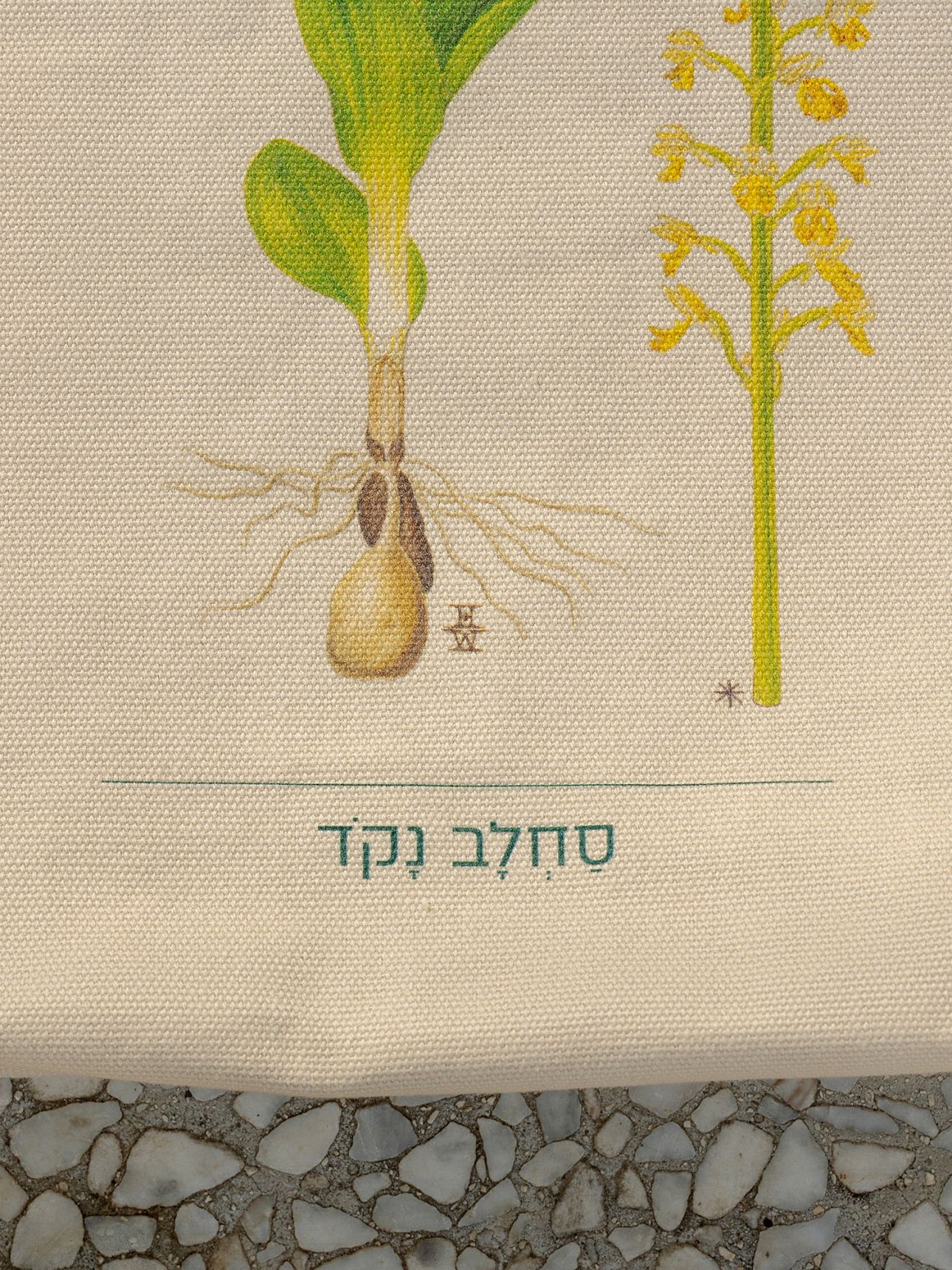 תיק בדפוס פרח סחלב נקוד