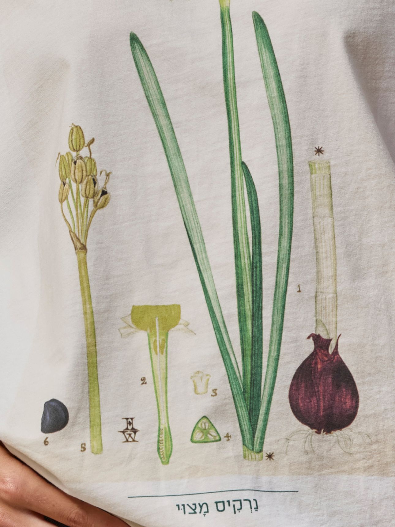 טי שירט יוניסקס נרקיס
