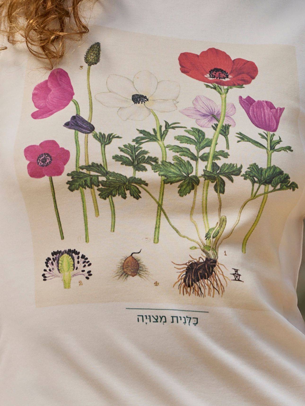 טי שירט כלנית מצויה