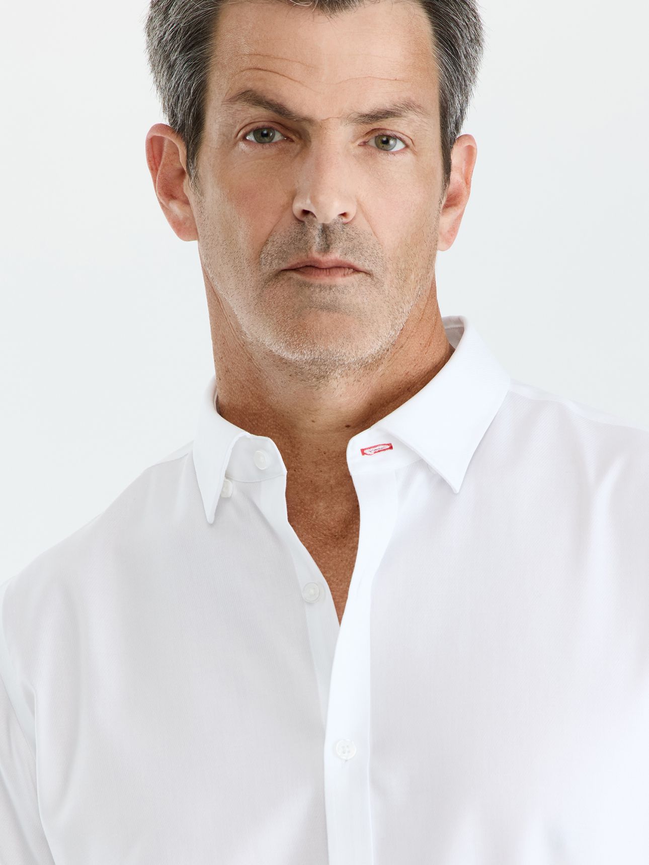 HECHTER PARIS נון איירון טוויל בגזרת רגולר פיט