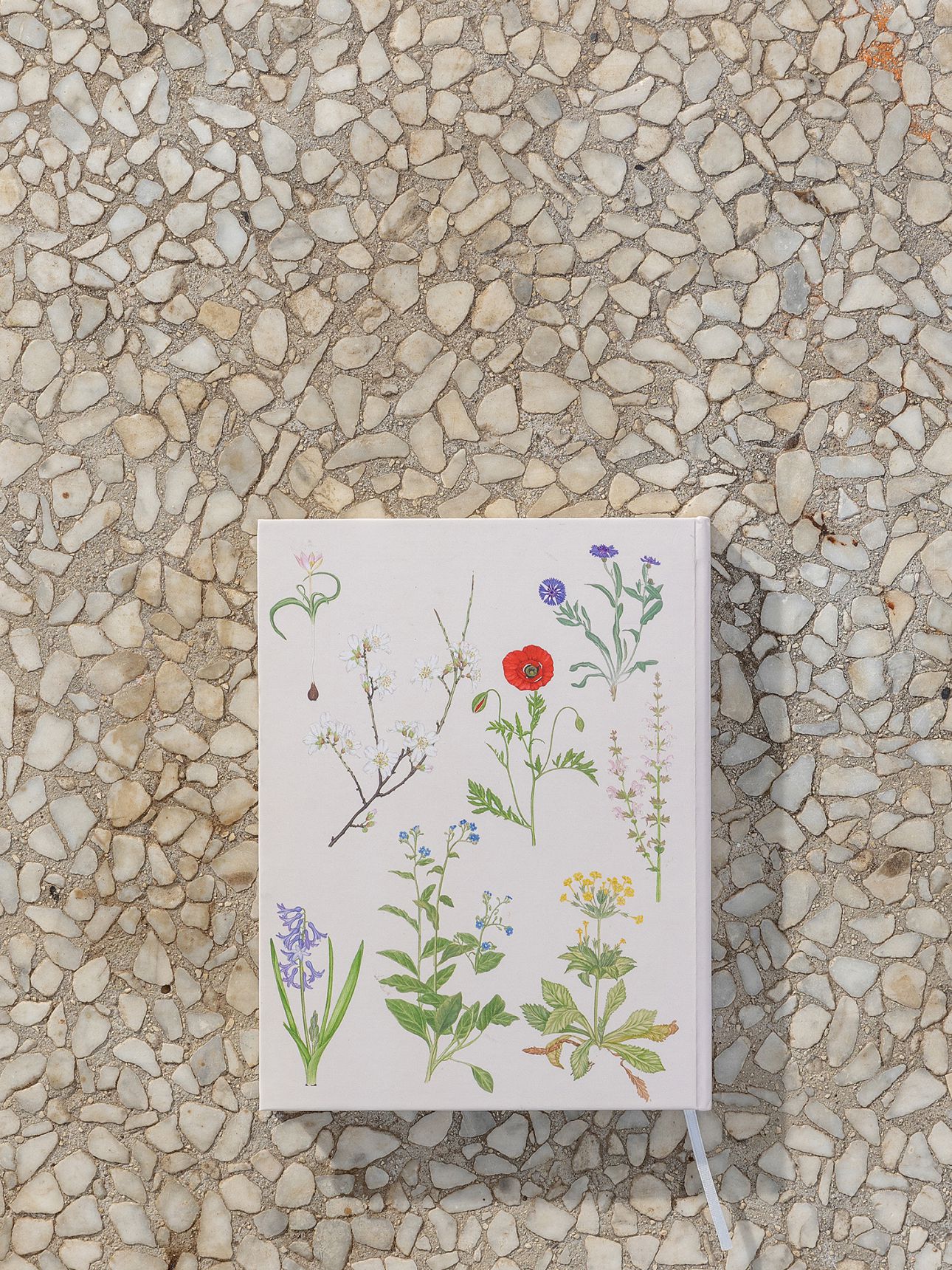 מחברת פרחים כריכה קשה 13.8X18ס”מ רטג