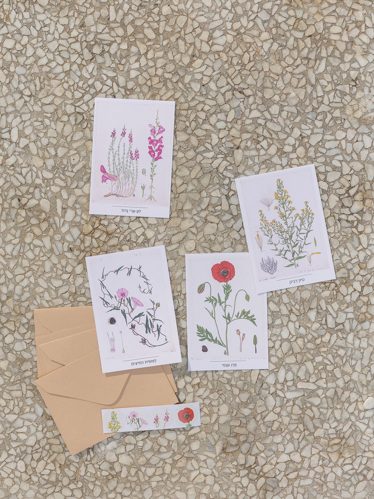 מארז 4 כרטיסי ברכה באיור פרחים