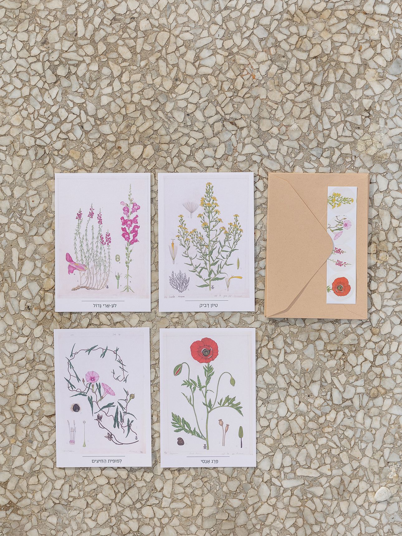 מארז 4 כרטיסי ברכה באיור פרחים