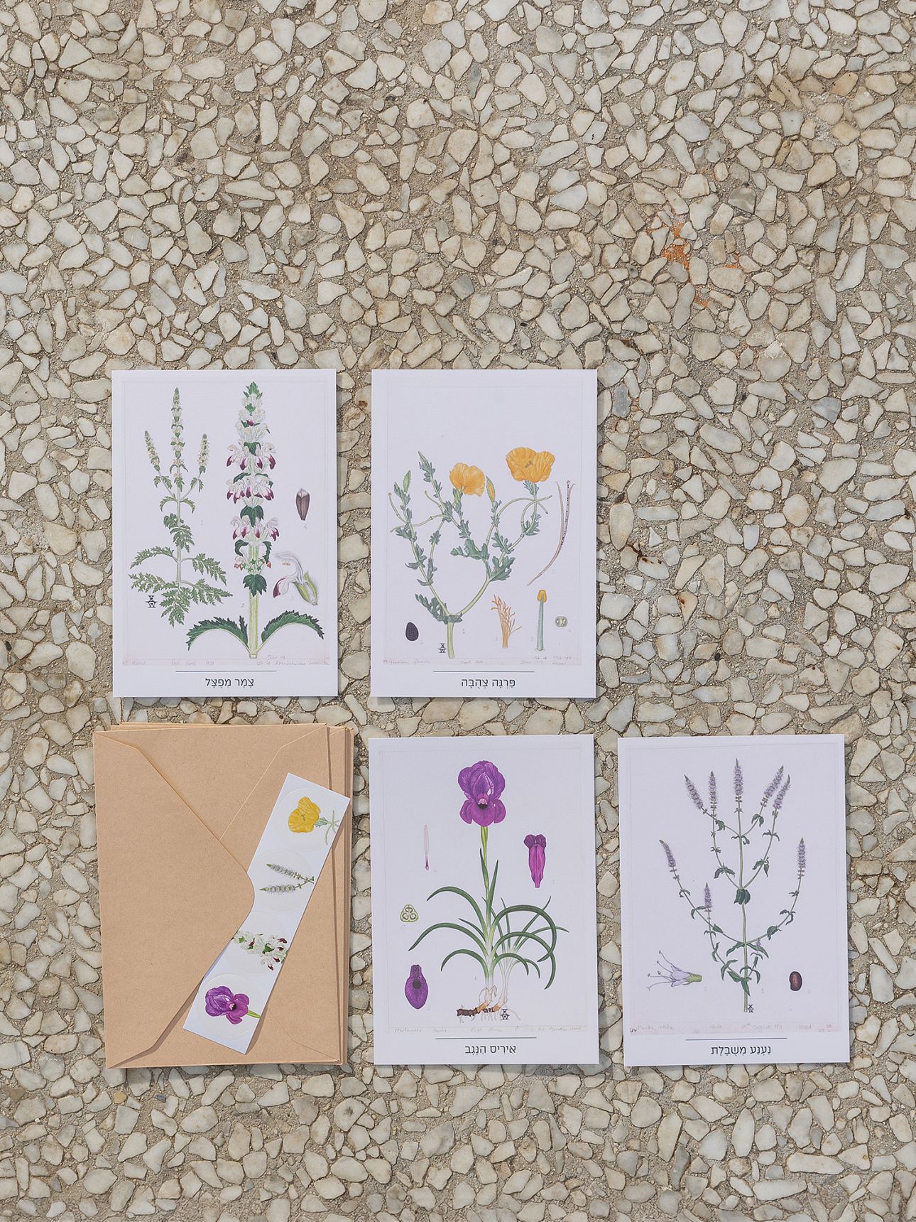 מארז 4 כרטיסי ברכה באיור פרחים