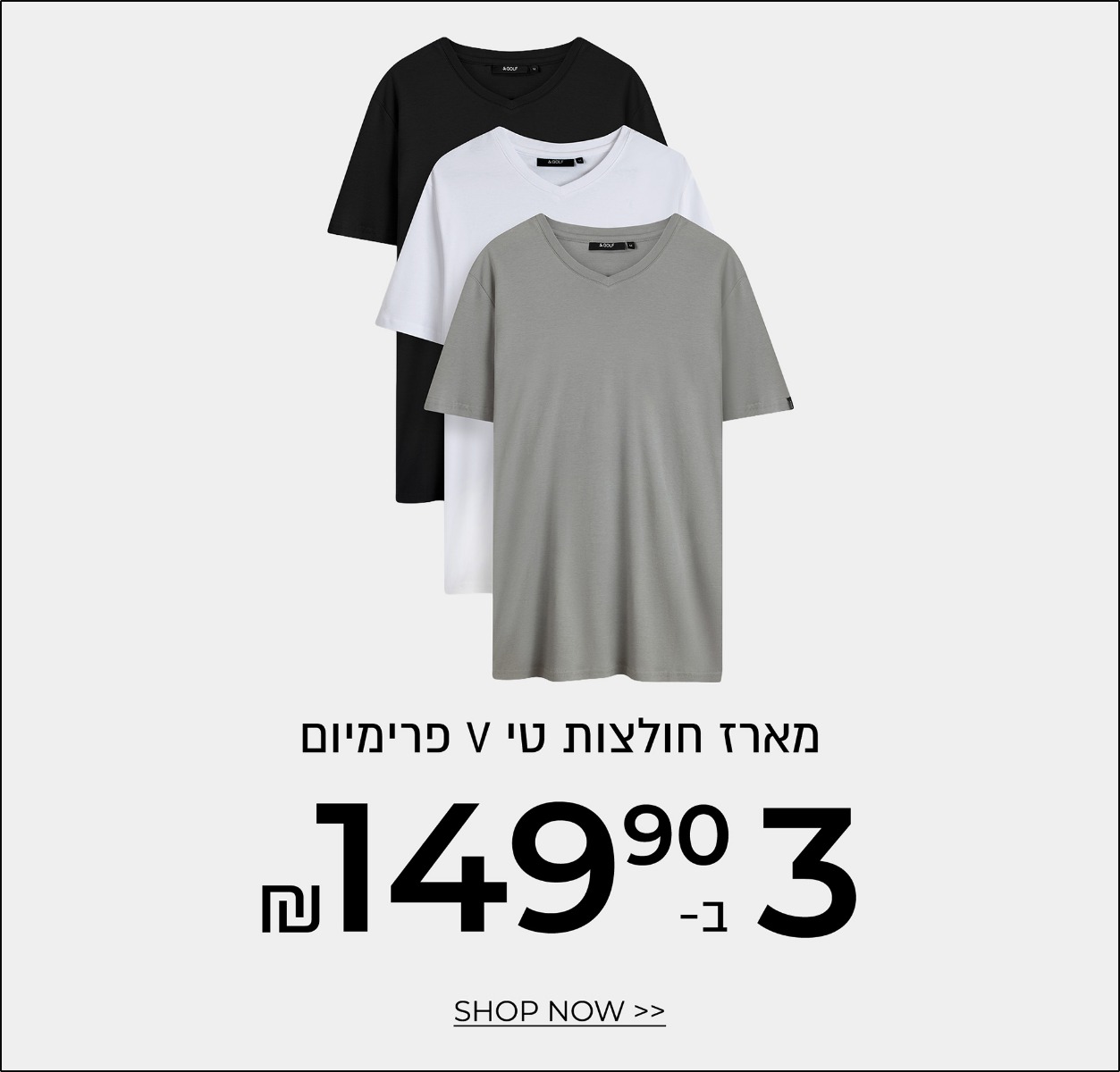 מארז טי וי פרימיום