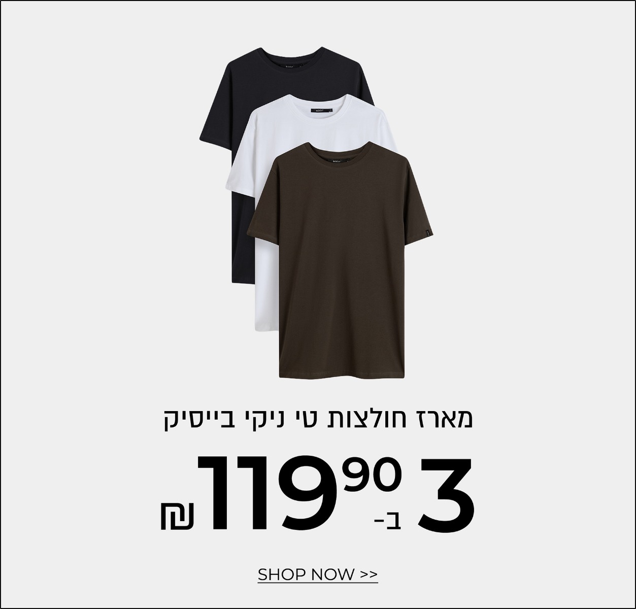 מארז בייסיק 3 ב- 119.90