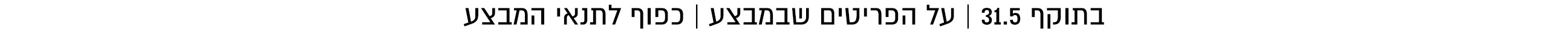 משפטיות