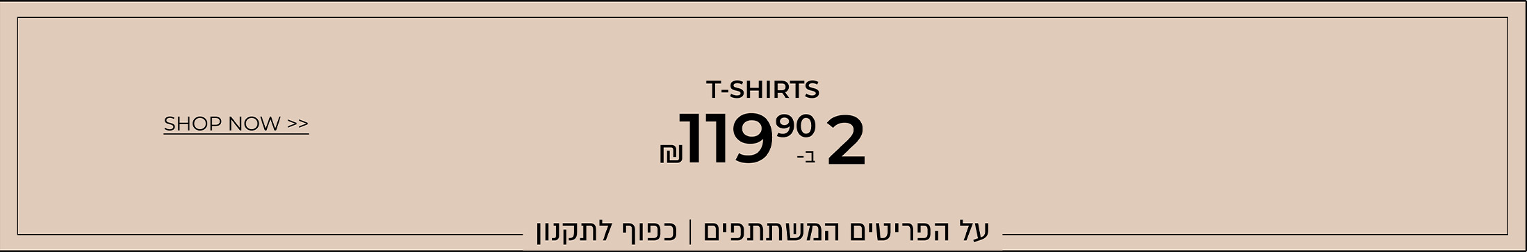 טי שירט 2 ב 119.90