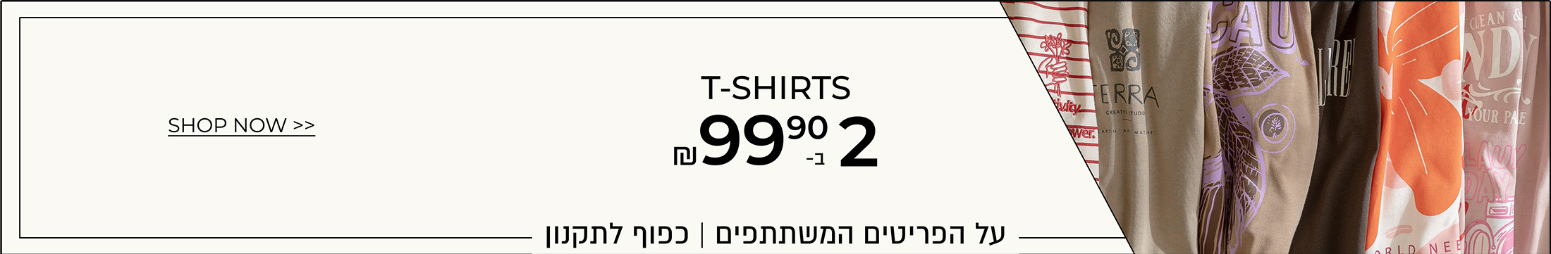 טי שירט 2 ב-99